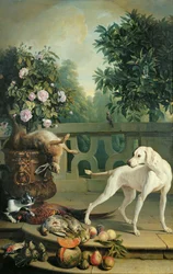 Animaux, fleurs et fruits